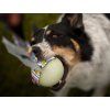 Chuckit! Max Glow bungee tug Agility comic  Glow-ball tug with bungee · sizes S–L
