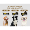 psiprotein recovery slozeni