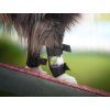 Out-n-out Carpal Pad Protectors – pair  Pair of sport protectors for carpal pads and dew claws