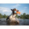 Chuckit! Amphibious Bumper floating dog toy  Floating retrieve bumper with cord · natural rubber + nylon