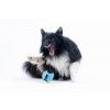Puppingtons Pod – plniteľná motivačná hračka pre psov  Motivačná hračka na maškrty na tréning, agility a interaktívnu hru