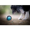 Puppingtons Pod – plniteľná motivačná hračka pre psov  Motivačná hračka na maškrty na tréning, agility a interaktívnu hru