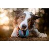 Puppingtons Pod – plniteľná motivačná hračka pre psov  Motivačná hračka na maškrty na tréning, agility a interaktívnu hru