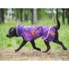 PerusPomppa  Warm waterproof winter coat with thick teddy lining