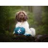 Løype dog first-aid kit  Travel first-aid kit for dogs · softshell case · S–XL