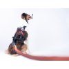 Non-stop dogwear Freemotion harness  Original adjustable pulling harness for canicross and bikejoring