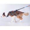 Non-stop dogwear Freemotion harness  Original adjustable pulling harness for canicross and bikejoring