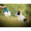 Sheepskin Ring bungee dog tug  Natural sheepskin ring tug with bungee · handmade