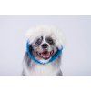 Sheepskin Ring bungee dog tug  Natural sheepskin ring tug with bungee · handmade