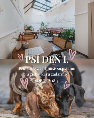 🐶🤍 DOG DAY I. v Sweet House Túto sobotu 18.4. to bude patriť všetkým milovníkom psíkov 🐾 Príď k nám so svojím štvornohým...