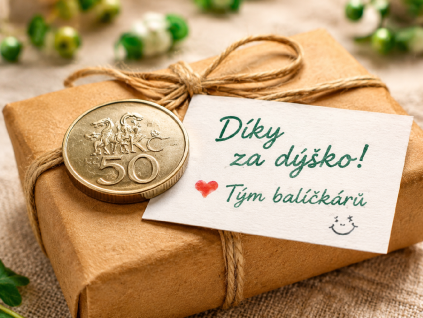 Dýško 50 Kč
