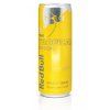Red Bull The Tropical Edition [PL]  Owoce tropikalne