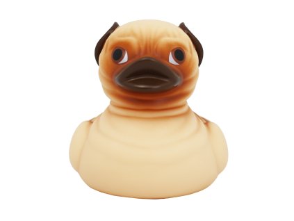 Gumowa kaczuszka pies, mops 1