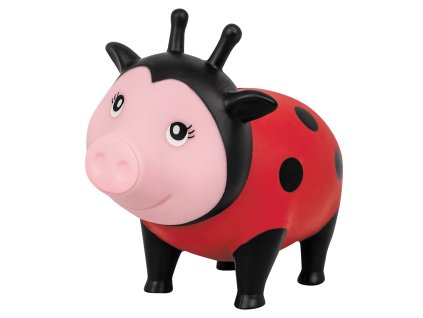 Skarbonka świnka biedronka 1