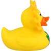 Gumowa kaczuszka słonecznik 5