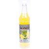 Monin Lemonade Mix koncentrát 1x1L