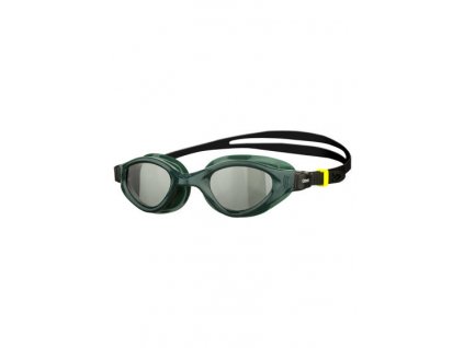 Cruiser Evo green