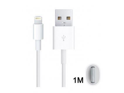 Apple kabel pro iPhone, iPad, iPod, Lightning, 1 m (bulk - MD818)