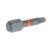 spax bit T15 obr2