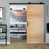 Kovany posuvny system na stenu DesignLine Luna Valcomp 5