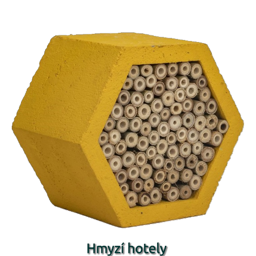 Hmyzí hotely