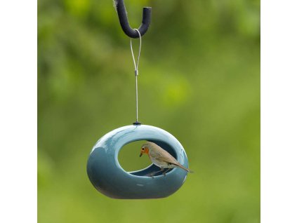 428 2 vtacie pitko selo modre