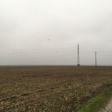 Vráťme vtáctvu späť aspoň kúsok toho, o čo našim pričinením prišli