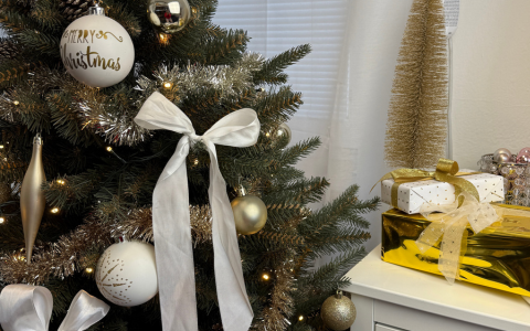 Vánoční provoz 2025