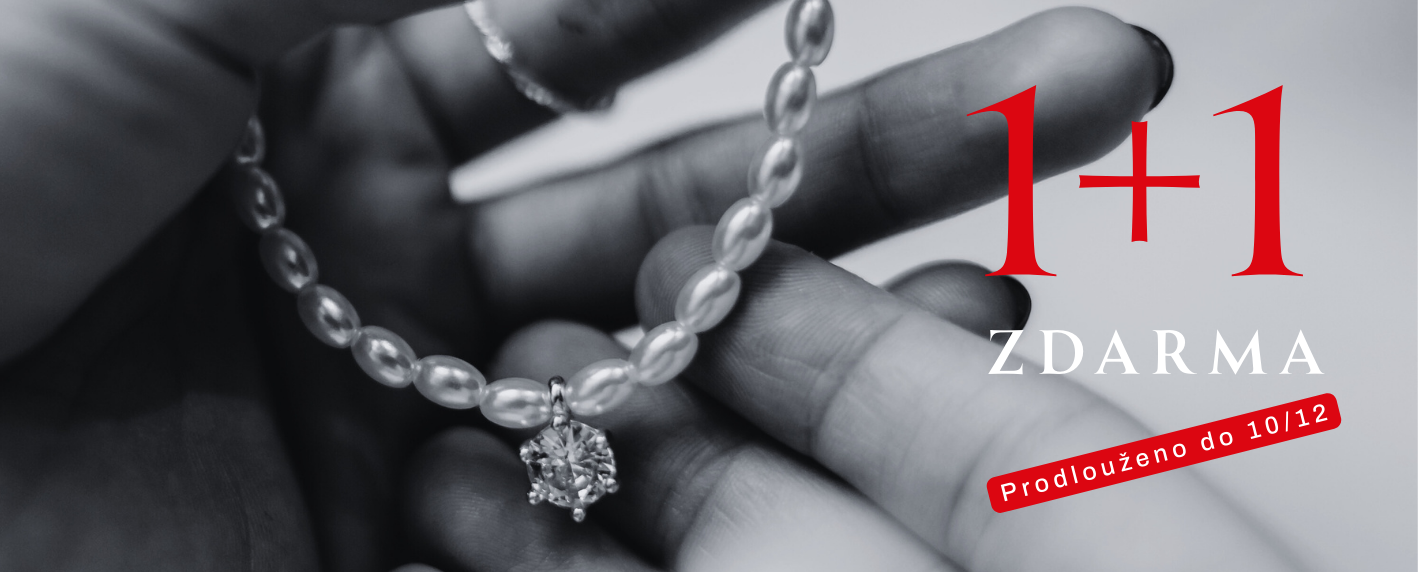 1+1 ZDARMA