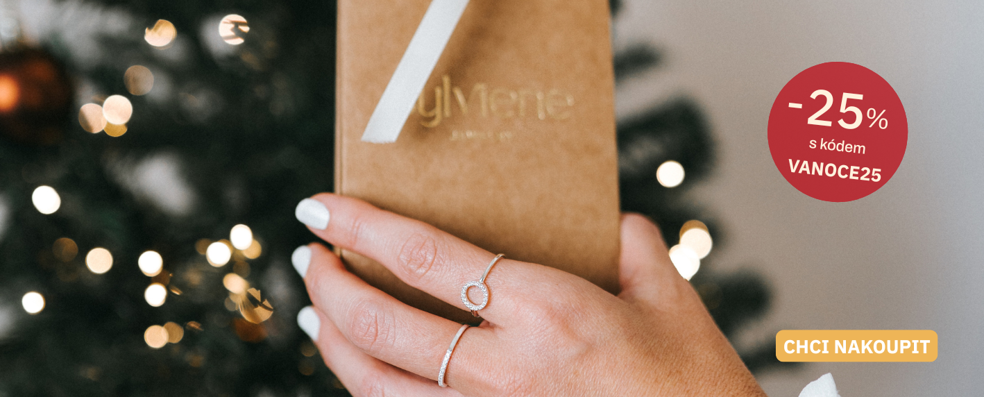 Vánoční sleva 25 %