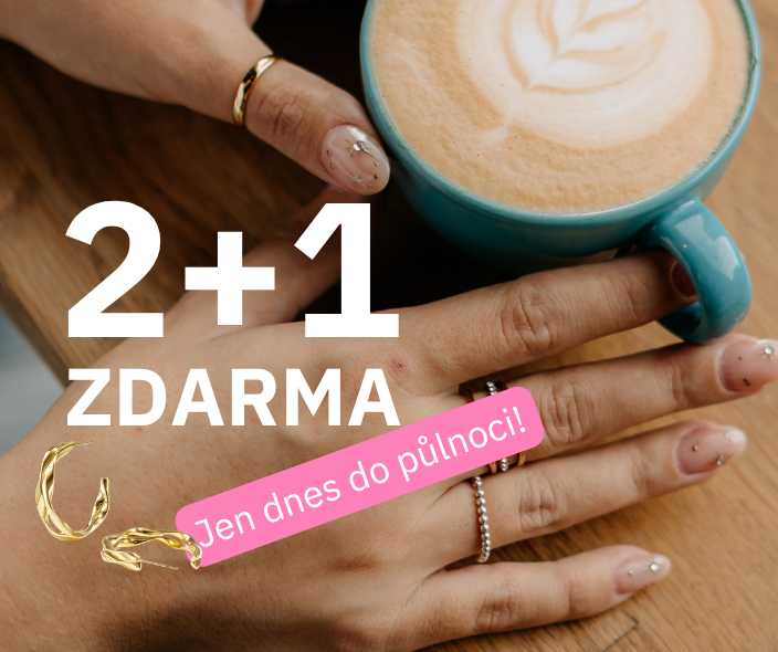 2+1 zdarma