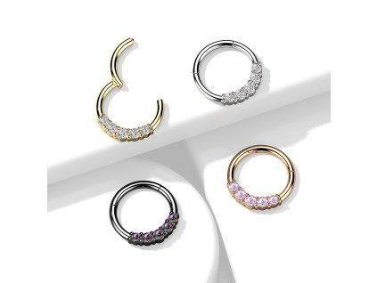 Piercing segment kroužek se Zirkony