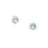 Stříbrné náušnice Birthstone Prosinec