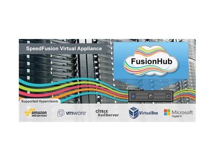 1-Year support for Peplink FusionHub 500