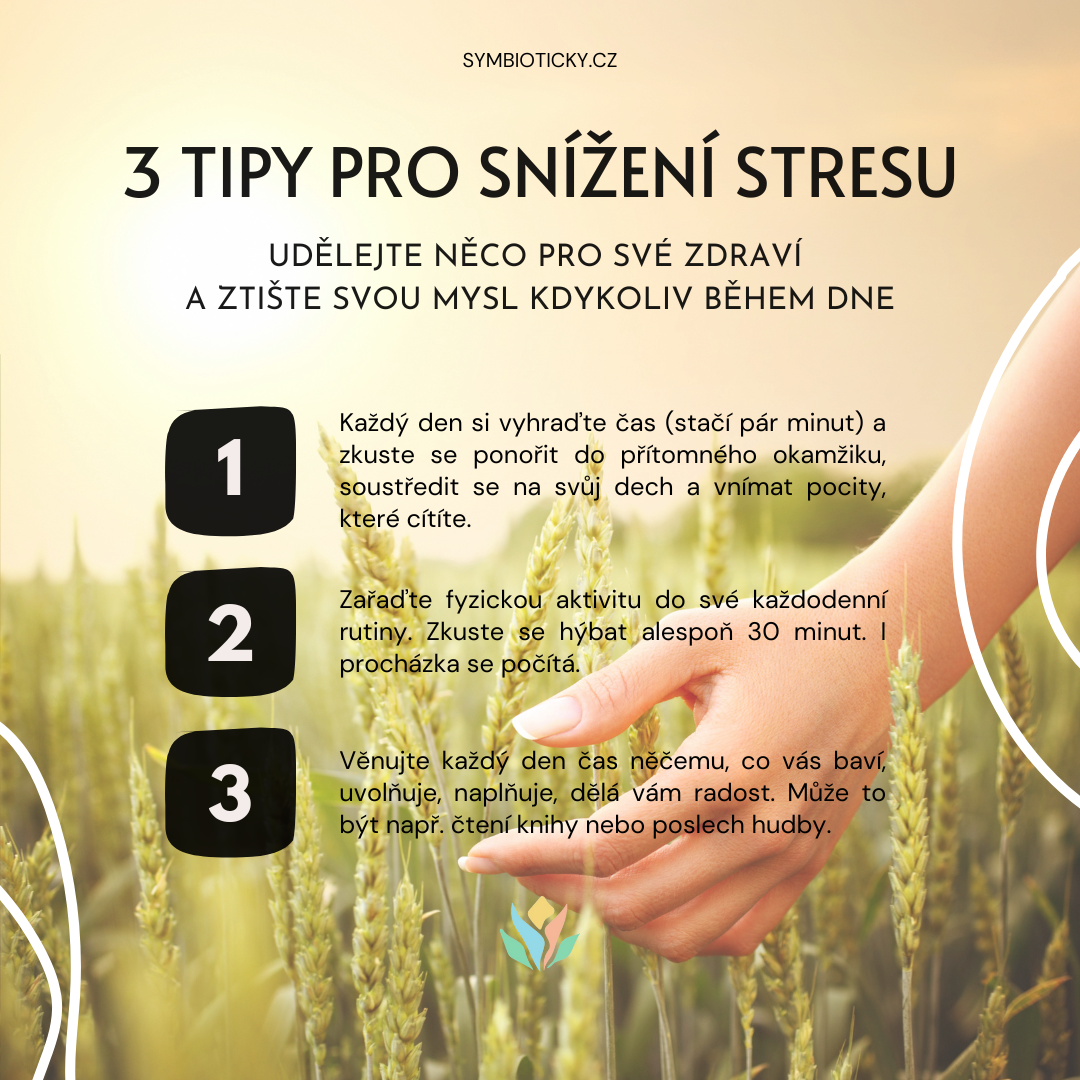 Jak zvládat stres: aneb léčba duše a těla