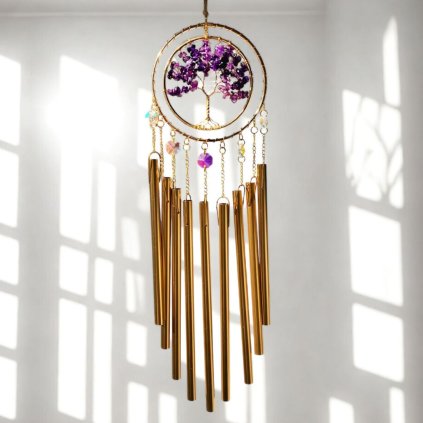 lapače slunce nový (1)