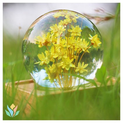 symbiotickycz flower kvetina rostlina lampicka lampa reproduktor relax meditace hudba music design homedecor dekorace (4)