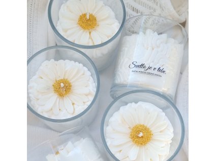sójová sviečka margarétka v skle