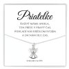 strieborná retiazka ag925 v darčekovej krabičke s venovaním pre priatelku s anjelom