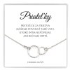 strieborná retiazka darček pre priatelku kruhy ag925 spojené životy osudy s venovaním