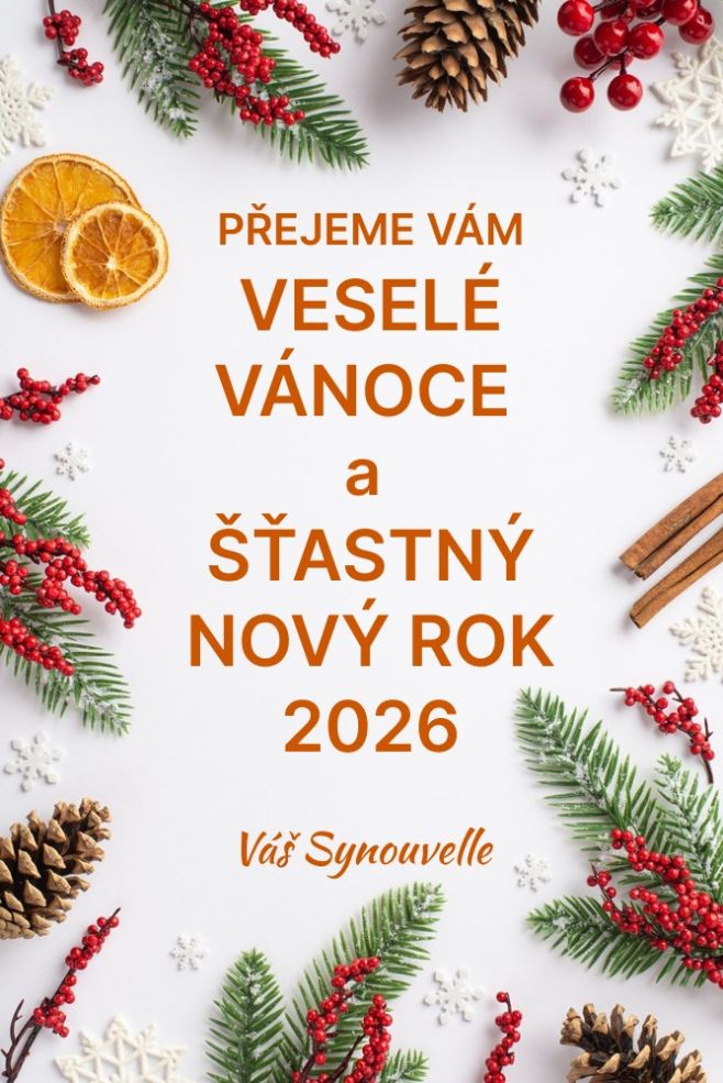 🧡 Přejeme vám krásné Vánoce a šťastný nový rok 2026. 🎁🧡 #serumnarasy #skincare #dlouherasy #Synouvelle #synouvellecosmetic...