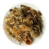 Bylinný čaj - Arnika horská /kvet/ (25g)