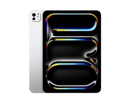 Apple iPad Pro 11 (M4) Silver 1