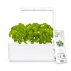 Click & Grow Basil 1