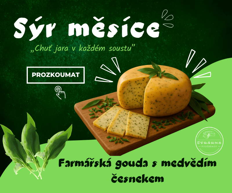 sýr měsíce - medvědí česnek