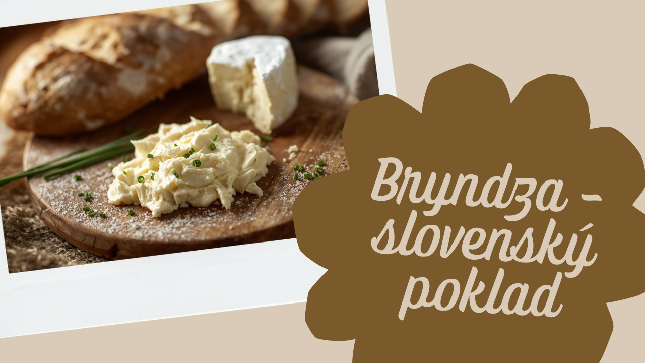 Bryndza: slovenský poklad z ovčího mléka, který patří na každý stůl