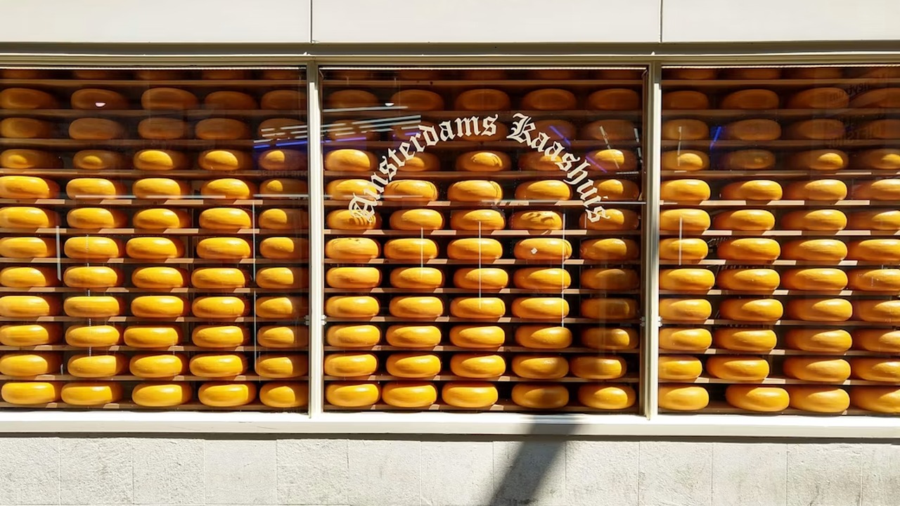Holandská gouda