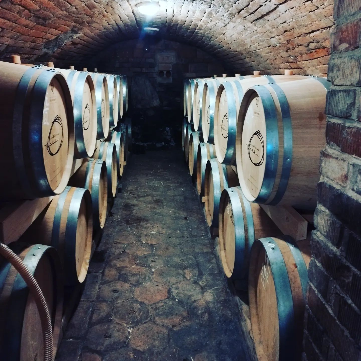 486061436_1211871890942622_7635789201032562448_n