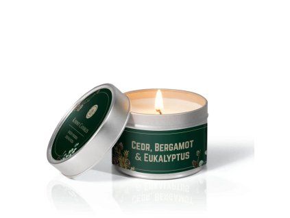 1240 svicka plech cedr bergamot