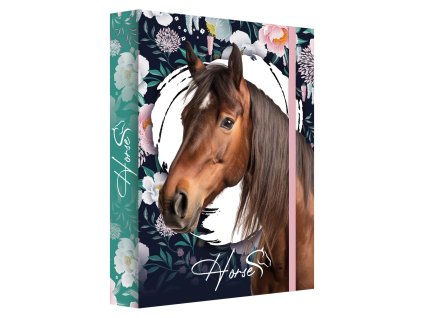 box na zosity a4 jumbo max horse